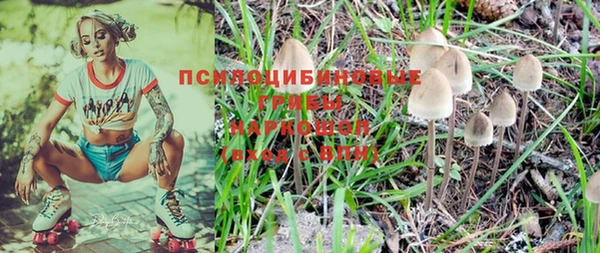синтетический гашиш Алексеевка